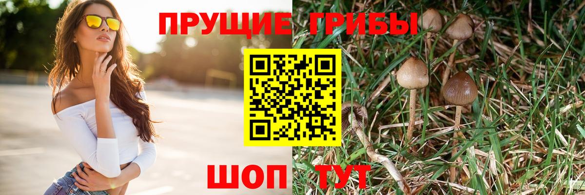 магазин  наркотиков  Псилоцибиновые грибы прущие грибы  Вход с VPN  Южно-Сахалинск  Галлюциногенные грибы прущие грибы 