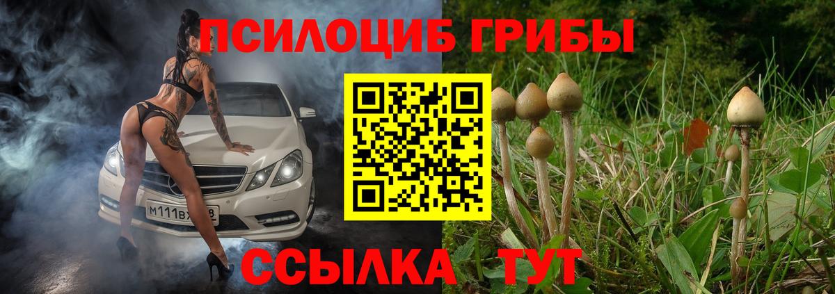 Галлюциногенные грибы мицелий Южно-Сахалинск